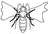 Image From EcoleBooks.com