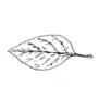Image From EcoleBooks.com