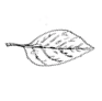 Image From EcoleBooks.com