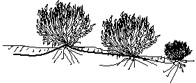 Image From EcoleBooks.com