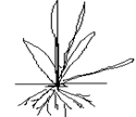 Image From EcoleBooks.com