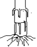 Image From EcoleBooks.com