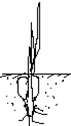 Image From EcoleBooks.com