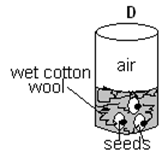 Image From EcoleBooks.com