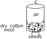 Image From EcoleBooks.com