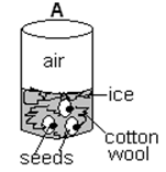 Image From EcoleBooks.com