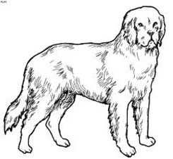 Image From EcoleBooks.com