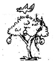 Image From EcoleBooks.com