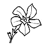 Image From EcoleBooks.com
