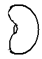 Image From EcoleBooks.com