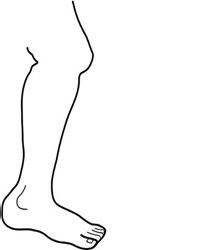 Image From EcoleBooks.com