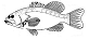 Image From EcoleBooks.com