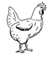 Image From EcoleBooks.com