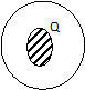 Image From EcoleBooks.com