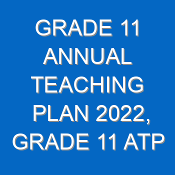 Grade 11 Annual Teaching Plan 2022 Grade 11 Atp 2022 23 4269