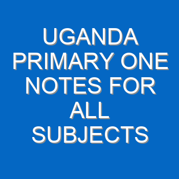 Uganda Primary One Notes For All Subjects 4546