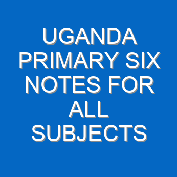 Uganda Primary Six Notes For All Subjects 777
