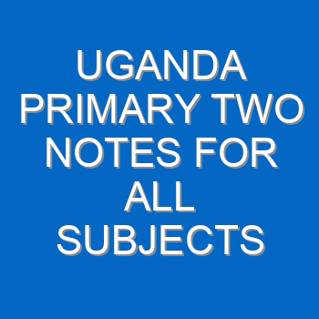 Uganda Primary Two Notes For All Subjects 4547