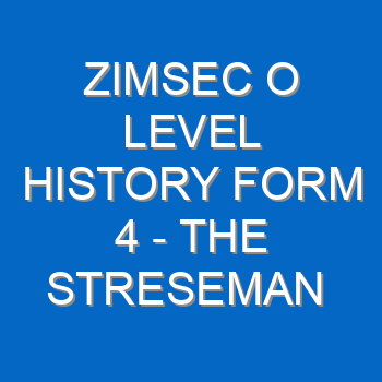 Zimsec O Level History Form 4 The Streseman Years 1923 29 5219