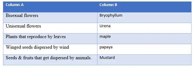 10 Reproduction In A Plants B Animals Questions And Answers