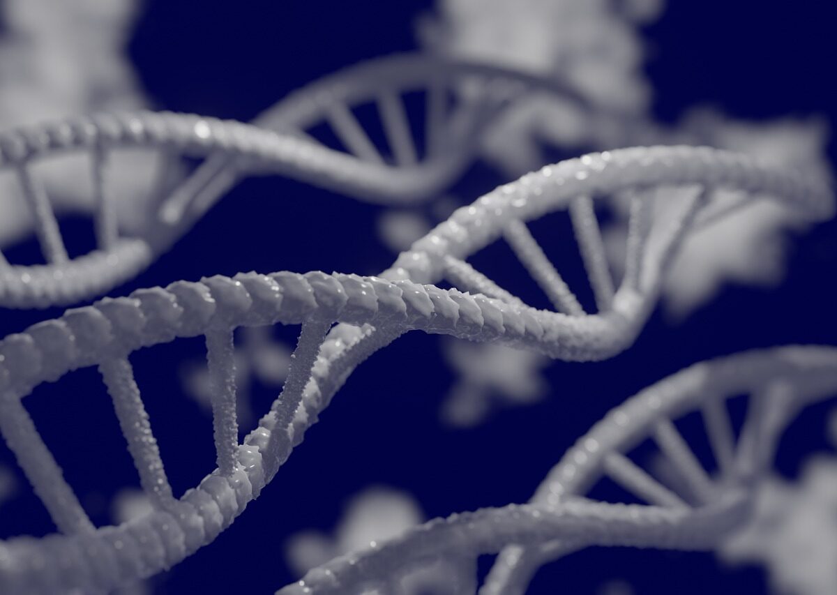 12 Genetics Questions And Answers 1200x853