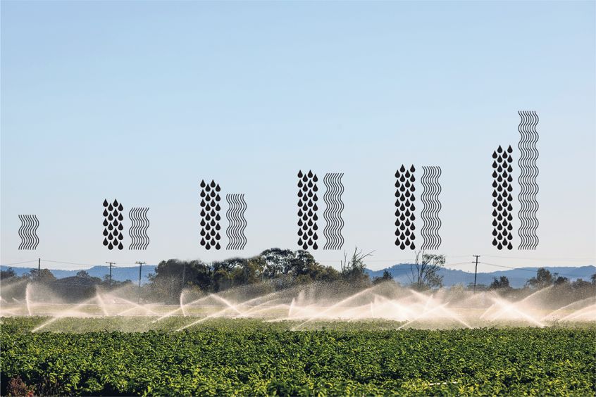 Agriculture Form 2 Crop Production Ii Planting