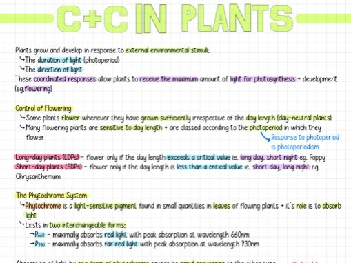 Biology O Levelform Three Notes Coordination 1