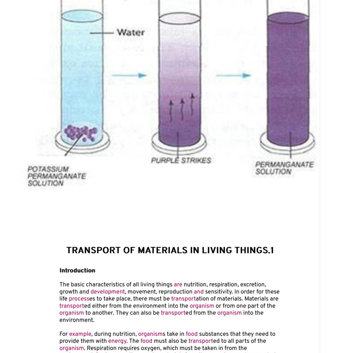 Biology O Levelform Two Notes Transport Of Materials In Living Things 1 1200x1200