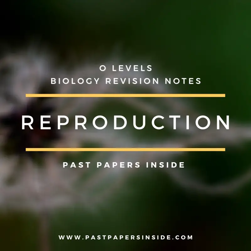 Biology O Levelform Two Notes Transportation Of Living Materials 2 1