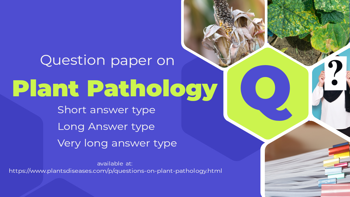 Crop Pests And Diseases Questions And Answers