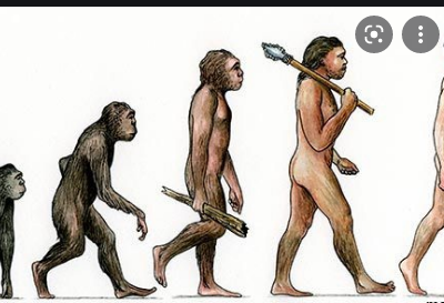 History O Levelform One Notes Evolution Of Man Technology And Environment 400x273