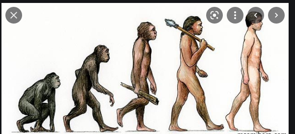History O Levelform One Notes Evolution Of Man Technology And Environment