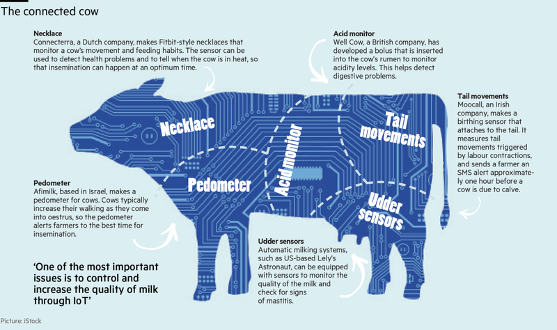 Livestock Production Iv Livestock Managment Practices Questions And Answers