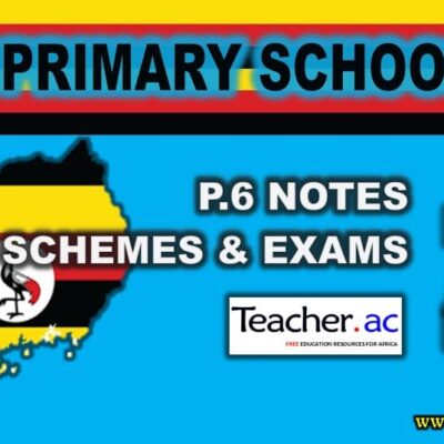 Primary Two Mathematics Lesson Notes Term I 400x400