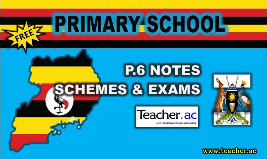 Primary Two News Lesson Notes Term Two