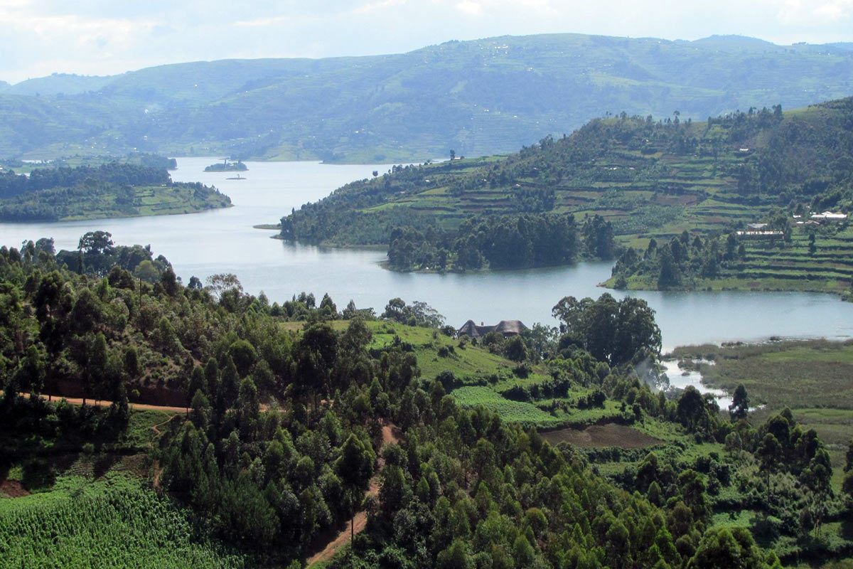 Vegetation Of Uganda
