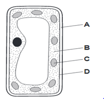 031924 1649 FORMFOURBIO1