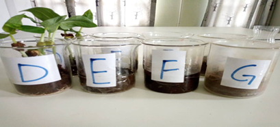031924 1658 WAECBIOLOGY10