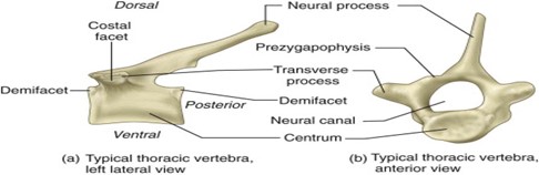 031924 1658 WAECBIOLOGY2