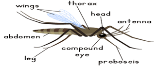 031924 1658 WAECBIOLOGY4
