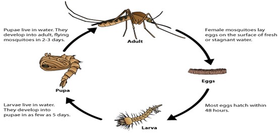 031924 1658 WAECBIOLOGY5