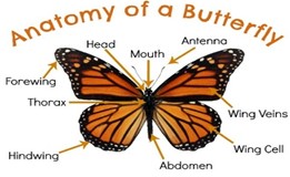 031924 1658 WAECBIOLOGY6