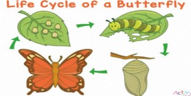 031924 1658 WAECBIOLOGY7