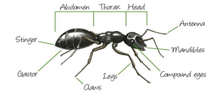 031924 1658 WAECBIOLOGY8