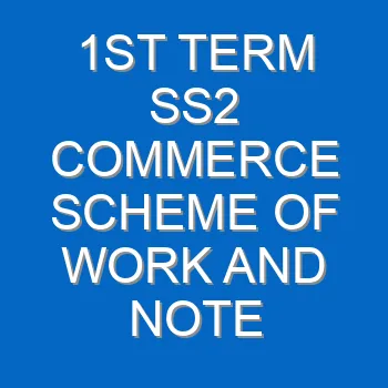 1st Term Ss2 Commerce Scheme Of Work And Note 2234