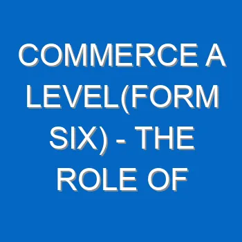 Commerce A Levelform Six The Role Of Government In Trade 696