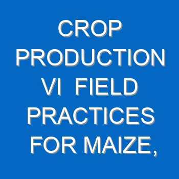 Crop Production Vi Field Practices For Maize Millet Sorghum Beans And Rice Harvesting Of Cotton Pyrethrum Sugar Cane Coffe And Tea Questions And Answers 1420