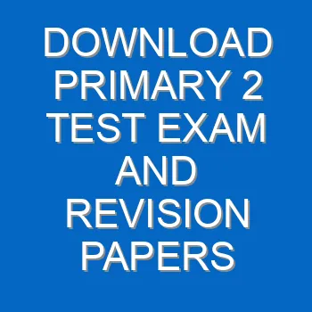 Download Primary 2 Test Exam And Revision Papers Pdf 3728