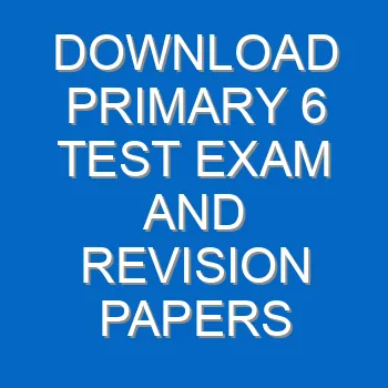 Download Primary 6 Test Exam And Revision Papers Pdf 3743