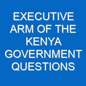 Executive Arm Of The Kenya Government Questions And Answers 1754